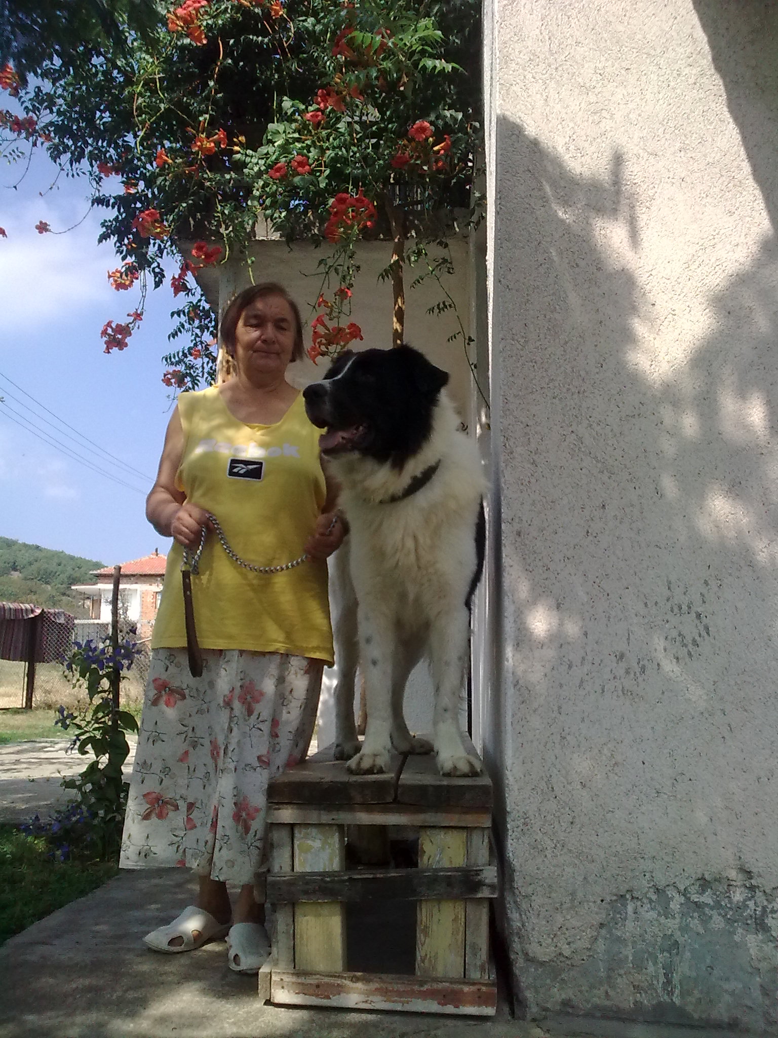 Качена снимка