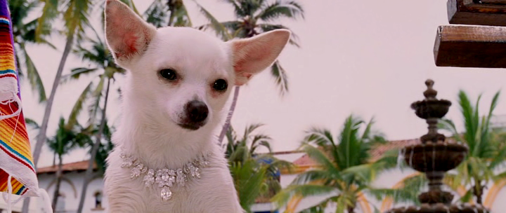 beverly hills chihuahua toy