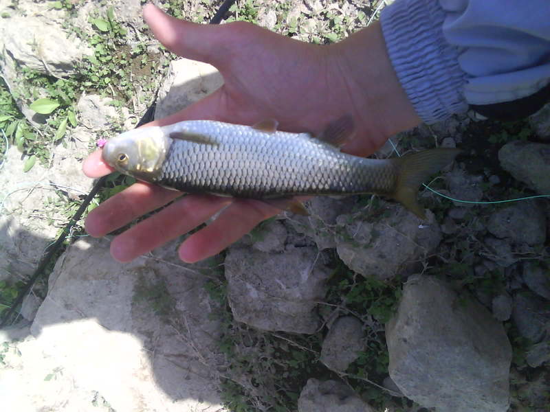 За риболова в Македония - Fishing Mania Форум
