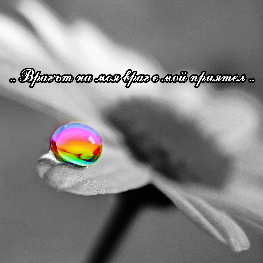 9392148a4eda220c.jpg