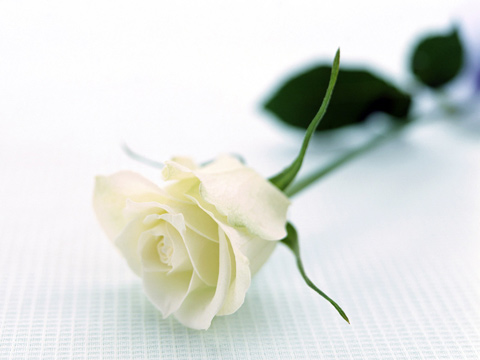 a3666d0314f72df1.jpg