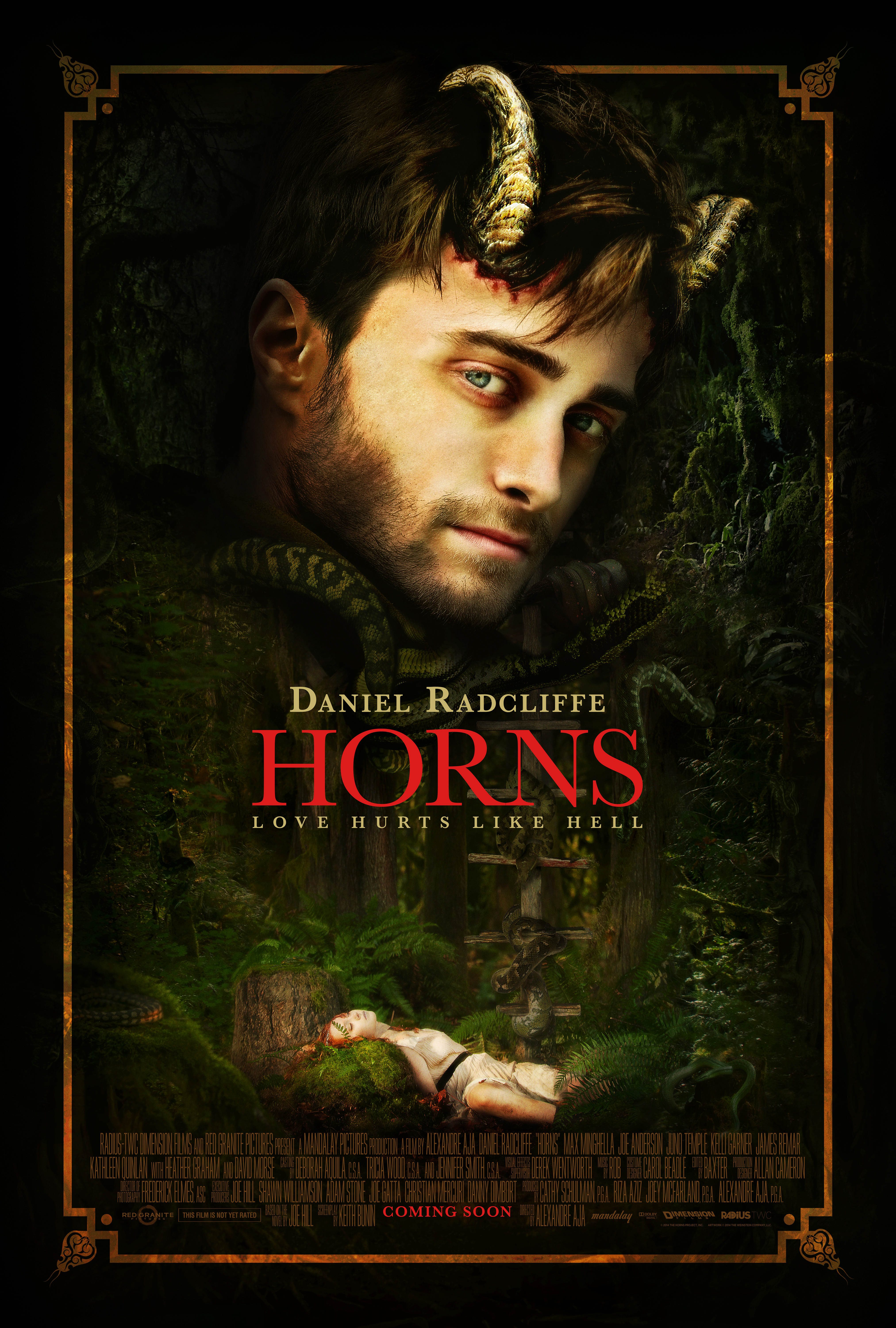 Horns / Рога (2014)