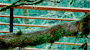 8a38eadad76c712d.gif