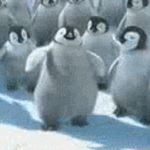 1aa7e89bf60d88e7.gif