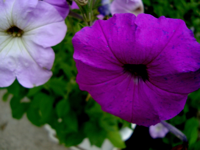 40d4608827bc9257.JPG