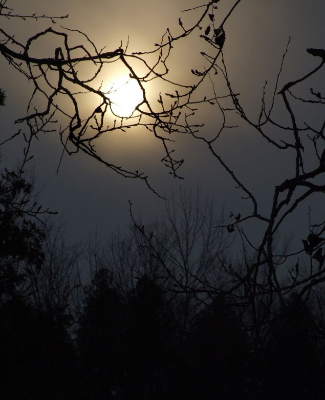 Публикувано изображение