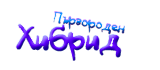 Първороден хибрид Първороден хибрид