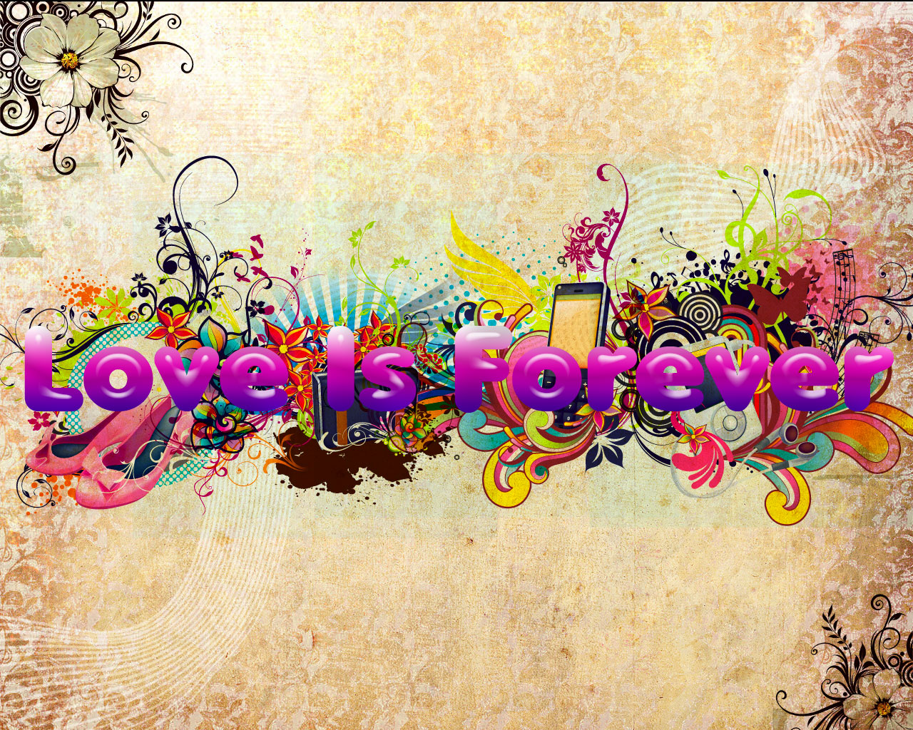 305dde3f0abac81c.jpg