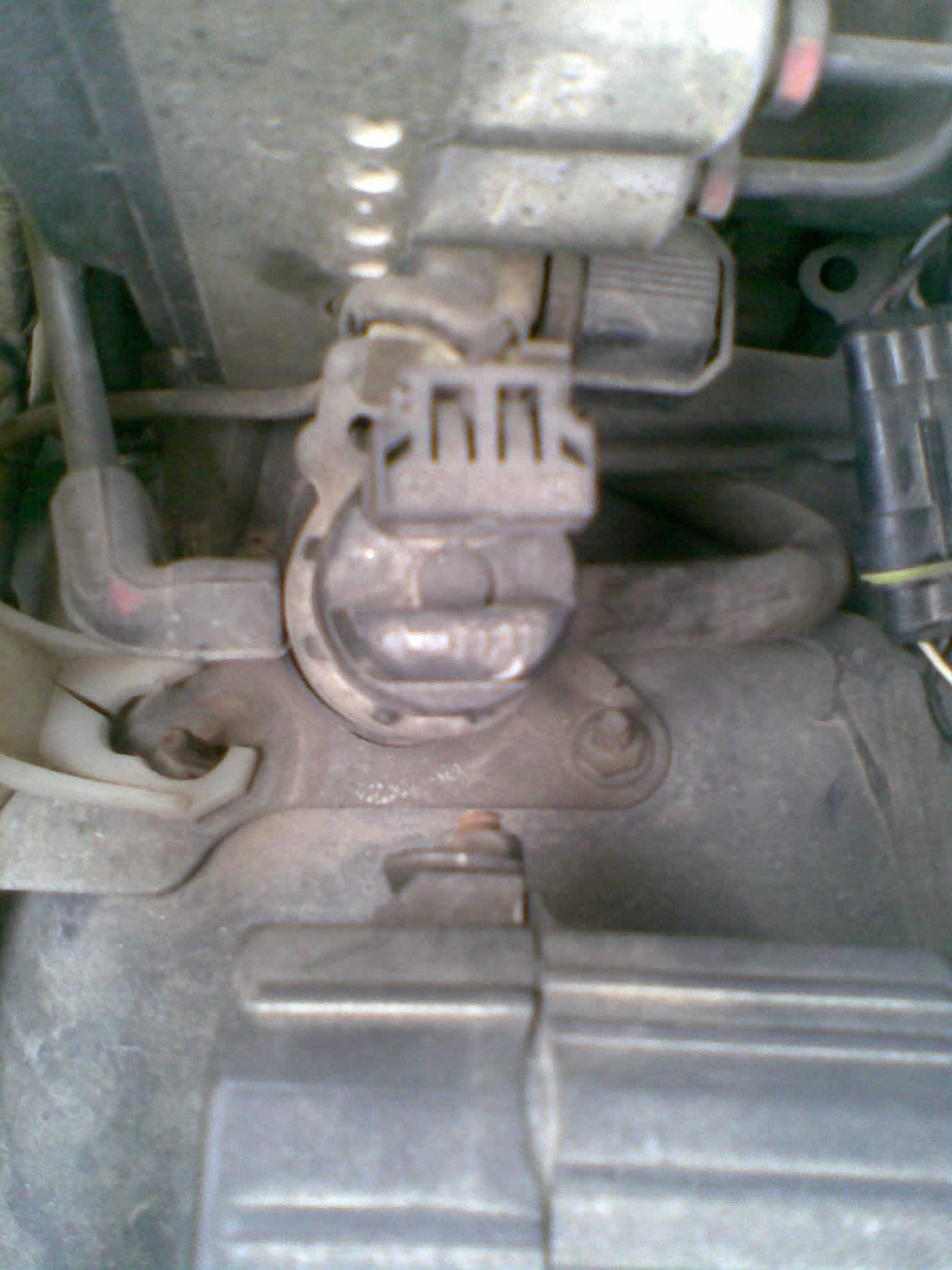 Posted Image