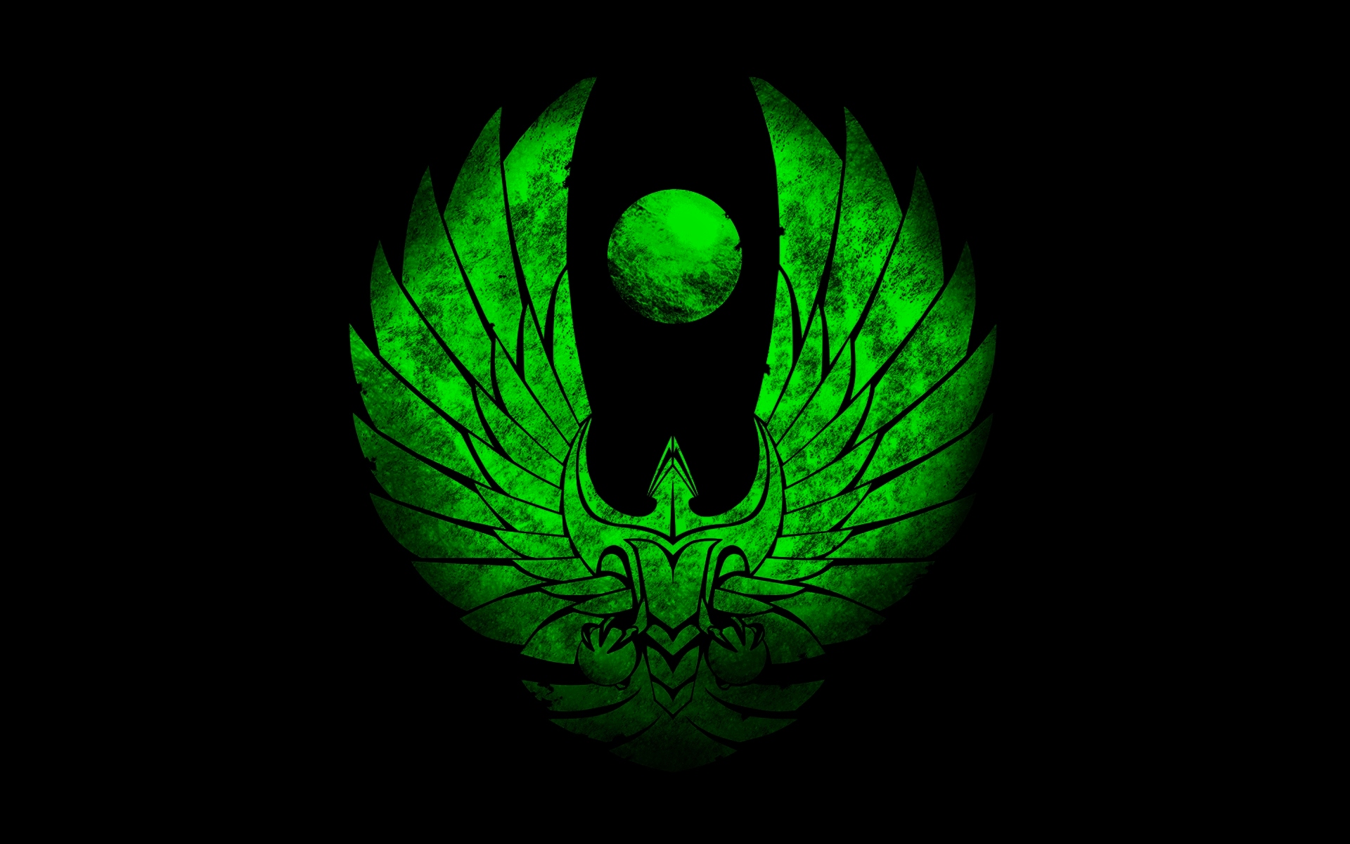 b7d392c6df6ccc71.jpg