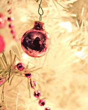 d563706fd669ec67.jpg