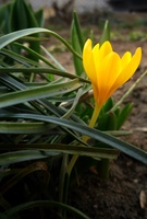 4fa39589efbfab59.JPG