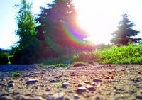 d6590a744613ab7f.jpg