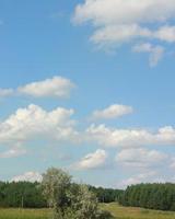 31cd5e8741fdffef.jpg
